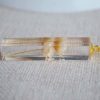 Daisy Ivory Real Flowers Transparent Cube Resin Pendant 18k Gold Plated Chain Long Necklace - Image 6