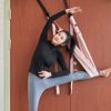 Grey990 Flexible Gym Hanging Inversion Swing Aerial Yoga Hammock Stretcher Band Belt Daily Fitness Equipment - Image 5