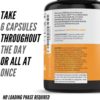 Creatine Monohydrate Capsules by Crazy Muscle - Easy to Swallow - High Absorption - Keto Friendly Three-Atine Blend for Muscle Endurance Growth and Repair - 5g of Creatine per Serving (30 Days) - Image 5