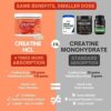 Creatine HCL Pills - Muscle Growth, Endurance, No Bloat, No Load, Not Flavored | Monohydrate Micronized Alternative, Creatine for women and men, Vegan, No Powder, Gummy, Tablets Creatina, 150 Capsules - Image 2