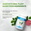Vega Protein and Greens, Vanilla, Vegan Protein Powder, 20g Plant Based Protein, Low Carb, Keto, Dairy Free, Gluten Free, Non GMO, Pea Protein for Women and Men, 1.4 Pounds (20 Servings) - Image 3