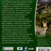Visions of Ireland - Image 2