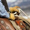 SKYDEER Deerskin Leather Hi-Performance Utility Driver Work Glove, Summer and Winter Gloves for Men and Women - Image 5