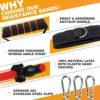 NECOTT Resistance Bands Set with Handles, Professional Exercise Bands with Upgraded Material, Max Workout for 150lbs, Physical Therapy Bands with Door Anchor, Handles, Legs Ankle Straps and Carry Bag - Image 2