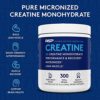 RSP Creatine Monohydrate – Pure Micronized Creatine Powder Supplement for Increased Strength, Muscle Recovery, and Performance for Men & Women, Unflavored, 10.6 Ounce - Image 2