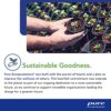 Pure Encapsulations O.N.E. Multivitamin | Once Daily Multivitamin with Antioxidant Complex Metafolin, CoQ10, and Lutein to Support Vision, Cognitive Function, and Cellular Health* | 60 Capsules - Image 5