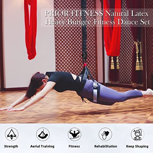 PRIOR FITNESS Bungee Fitness Set Yoga Bungee Cord Rope Resistance Air Dance Rope Exercise Fitness Home Gym Professional Training Equipment - Image 2