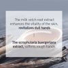 PYUNKANG YUL Skin Barrier Professional Hand Cream - Long-Lasting Hand Lotion for Dry Hands - Natural Ingredients Shea butter Hyaluronic Acid Avocado - Fragrance, Color Free Zero-Irritation - 1.7 Fl Oz - Image 8