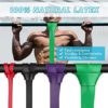 Gonex Resistance Bands, Workout Bands with Natural Latex & Great Flexibility & Body Stretching, Heavy Duty Exercise Pull Up Bands Suitable for Beginners and Professionals (Set-4) - Image 3