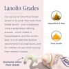 Lanolips Hand Cream Intense Rose - Hydrating Hand Lotion with Lanolin, Vitamin E + Shea butter - Great for Dry, Cracked Hands + Cuticles - Cruelty-Free, Vegetarian (50ml / 1.69 fl oz) - Image 7