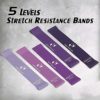 Taste Your Life Resistance Bands for Strength Training, Exercise and Fitness, Stretching, Pilates, Yoga, Exercise Workout Bands for Women and Men Set of 5 - Image 2