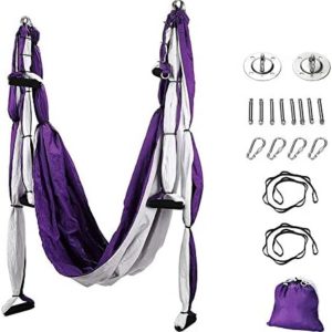 Aerial Yoga Swing Set,Yoga Hammock Sling Kit with Extension Straps &Carabiner, Yoga Inversion Swing Accessories for Beginners Professionals Daily Workout(200kg)
