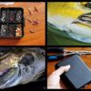Caija-H 140pcs Fishing swivels Include 3 Way Swivel Snaps/Barrel Triple Swivel Connector Clips/Fishing Beads/Duo Lock Snaps/Rolling Barrel Fishing Swivel Snaps - Image 3