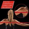 THERABAND Resistance Bands Set, Professional Non-Latex Elastic Band For Upper & Lower Body Exercise, Strength Training without Weights, Physical Therapy, Pilates, Rehab, Yellow & Red & Green, Beginner - Image 4