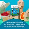 OLLY Kids Chillax, Magnesium Gummies Plus L-Theanine, Lemon Balm, Calm Chews for Kids 2+, Sherbet Flavor - 50 Count - Image 2