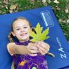 Z Athletic Gymnastics, Tumbling, Folding Mats (4ft x 8ft x 2in, Multiple Colors) - Image 6