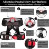 Dasking Heavy Bungee Resistance Band Set Gravity Yoga Bungee Cord Resistance Belt Set 4D Bungee Dance Rope Workout Fitness Home Gym Professional Training Equipment - Image 3