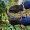 Black Garden Working Leather Gloves: Men Women Thorn Resistant Gardening Gloves | Heavy Duty Construction Ranch Protection Gloves Mens Womens Tool Firm Grip Truck Driving Driver Safety Gloves Small - Image 6