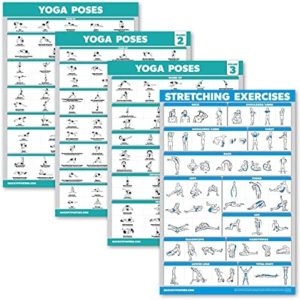 Palace Learning 4 Pack: Yoga Poses Posters Volume 1, 2 & 3 + Stretching Workout Exercise Chart