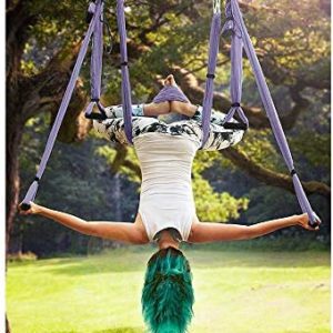 MQSS Aerial Yoga Swing Set - Yoga Hammock/Sling Kit with 2 Extension Straps Antigravity Ceiling Hanging Yoga Sling - Ideal for Beginners and Kids Flexibility Core Strength Purple