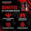 Harambe Blood Pre Workout Powder for Men & Women - Extreme Pump and Energy Supplement - 25 Servings (Orange Popsicle) - Image 5
