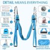 Aerial Yoga Swing Set Yoga Hammock Trapeze Sling Inversion Tool for Indoor Home Fitness with Ceiling Anchors and 2 Extensions Straps(Blue) - Image 2