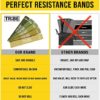 Tribe Lifting Fabric Resistance Bands Women and Men - Booty Bands for Women - Thigh Bands for Workout Bands for Women - Glute Bands - Exercise Bands Resistance Loops for Legs and Butt - Image 3