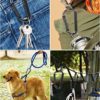 DELSWIN Heavy Duty Caribeaner Carabiner Clip - 900lbs, 3" Caribeener Clips D Shaped Spring Hooks for Hammocks, Camping, Hiking, Dog Leash, Keychains, Outdoors and Gym - Image 7