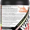 Amazing Muscle 100% Whey Protein Powder *Advanced Formula with Whey Protein Isolate Along with Ultra Filtered Whey Protein Concentrate (Strawberry, 5 Lb) - Image 2