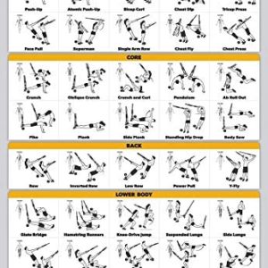 QuickFit Suspension Workout Exercise Poster - Double Sided (Laminated, 18" x 27")