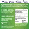 XPRS Nutra Vegan Creatine Monohydrate Powder - 113g of Premium Bulk Creatine Powder for Muscle Growth and Endurance - Vegan Friendly Instantized Creatine for Men and Women (4 oz) - Image 7