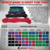 WODFitters Pull Up Assistance Band for Stretching, Mobility Workouts, Warm Up, Recovery, Powerlifting, Home Fitness and Exercise… - Image 2