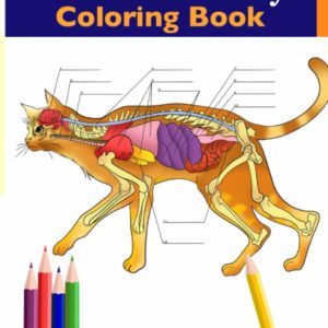 Cat Anatomy Coloring Book: Incredibly Detailed Self-Test Feline Anatomy Color workbook | Perfect Gift for Veterinary Students, Cat Lovers & Adults