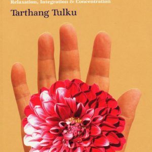 The Joy of Being: Advanced Kum Nye Practices for Relaxation, Integration & Concentration