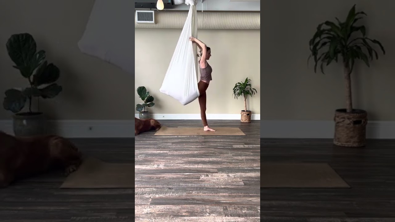 Aerial Yoga at Home AerialFitness