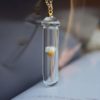 Daisy Ivory Real Flowers Transparent Glass Bottle 18k Gold Plated Chain Long Necklace - Image 2