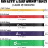 Odoland 5 Packs Pull Up Assist Bands, Pull Up Straps, Resistance Bands with Door Anchor and Handles, Stretch Mobility, Powerlifting and Extra Durable Exercise Bands with eGuide - Image 2