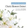 BOUQUET GARNI Hand Cream Cherry Blossom with Shea Butter - Long Lasting Fragrance Hand Lotion - Cuticles and Dry Hands Treatment - Deep Moisturizing Ingredients - Calming, Soothing the Skin 1.7 Fl Oz - Image 6