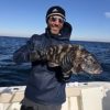 Blackfish Snafu Rig - 1, 5 &10 Pack Option -Size 3/0 BKK Bait Hook - 60lb Heavy Duty Mono, Dropper Loop - Hand Tied - Uncle Mo’s Saltwater Tackle Savage 17 Fathom Tautog Rig - Image 8