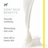 Beekman 1802 - Hand Cream - Honeyed Grapefruit - Moisturizing & Hydrating Goat Milk Hand Lotion for Dry & Sensitive Skin - Anti-Aging Hydration - Goat Milk Hand Care - 2 oz - Image 4