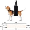 HNYG 30-120 lbs Large Dog Sling for Rear Legs Helps Elderly Dogs with Reduced Mobility, Dog Support K9 Dog Lift Harness, Dog Lifter for Arthritis ACL Rehabilitation Rehab, 7" x 51" - Image 2