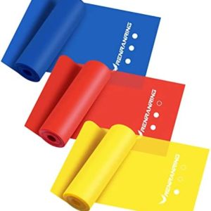 Resistance Bands Set - Exercise Bands with 8 Resistance Levels,Booty Loop Bands for Leg and Butt,Workout Bands for Physical Therapy,Yoga,Pilates,Rehab,Stretching and Home Workout