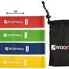WODFitters Mini Bands Set - 5 Exercise and Workout Resistance Bands - Exercise Loops - Workout Flexbands for Stretching, Physical Therapy, Rehab, Home Fitness and Muscle Activation - Image 2