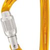 Petzl SM'D Carabiner - Versatile, Lightweight, Compact, D-Shaped Locking Carabiner for Rock and Ice Climbing - Image 2