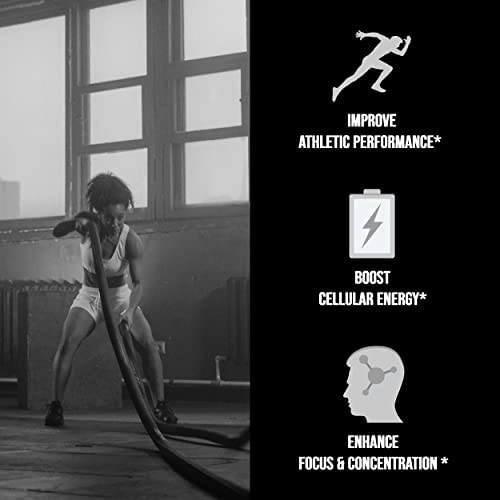 Micronized Creatine Monohydrate Powder 400 G - Unflavored Vegan Creatine Powder for Pre Workout, Muscle Building - Pure Creatine for Women and Men - Instantized Creatine Supplement, 80 Servings - Image 3