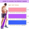 Resistance Bands Set, 3 Pack Professional Latex Elastic Bands for Home or Gym Upper & Lower Body Exercise, Physical Therapy, Strength Training, Yoga, Pilates, Rehab, Blue & Purple & Pink - Image 2