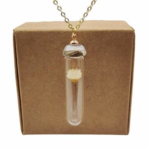 Daisy Ivory Real Flowers Transparent Glass Bottle 18k Gold Plated Chain Long Necklace