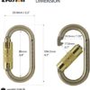 FUSION Climb Ovatti Steel Auto Lock Oval-Shaped Carabiner (FP-9108-GLD) - Image 2
