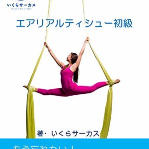 Aerial Silks Beginner Level: mouwasurenai kihonnowazawomasuta-shiyou aerial tissu (Japanese Edition)