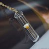 Daisy Ivory Real Flowers Transparent Glass Bottle 18k Gold Plated Chain Long Necklace - Image 3